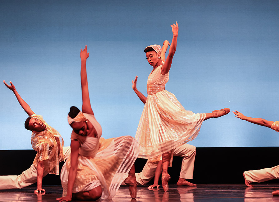 dth newsletter 2